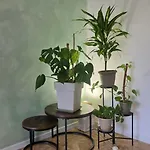 Habitación en casa particular Di Gioia *