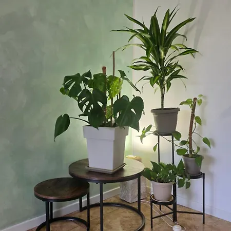 Accommodatie bij particulieren Di Gioia *