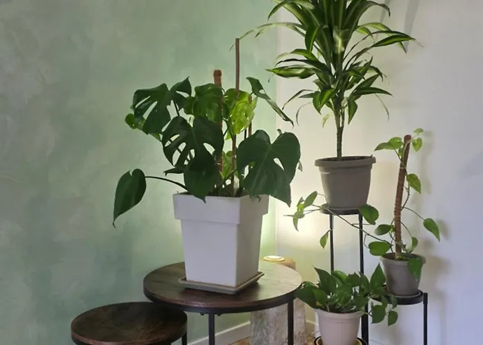 Quarto em Acomodações Particulares Di Gioia *